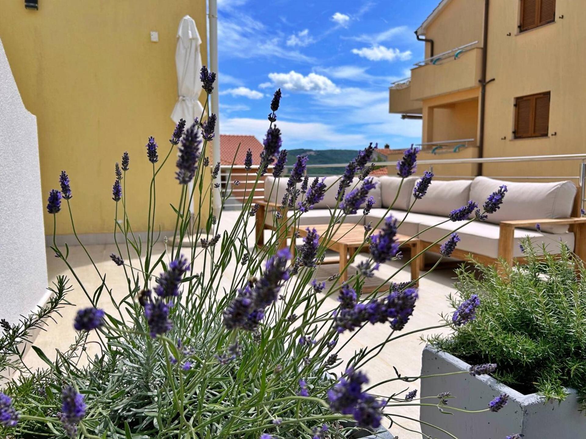 Apartments Pinta De Sol Čižići Exterior foto